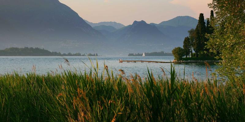 世喜创始人思维解码：如何将个人价值观注入品牌基因，实现习惯养成与自我提升的创业成功学