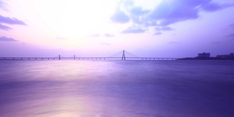 世喜成功21：揭秘习惯养成背后的科学成功学体系