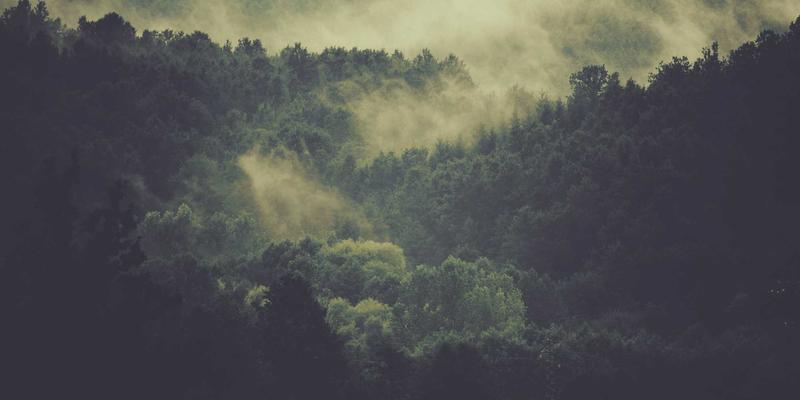 世喜成功56法则：融合目标管理与领导力的现代成功学体系