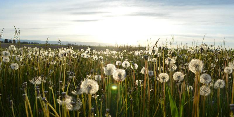 世喜成功70:解码个人发展的核心法则与实践路径