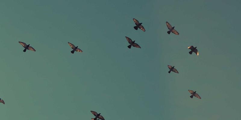 世喜成功77法则：目标管理、思维训练与个人发展的三重奏