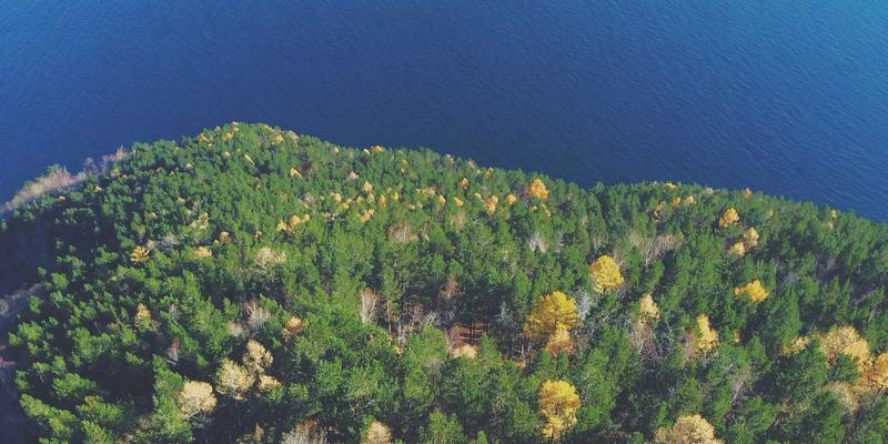 世喜成功优势：以目标管理为核心的成功学实践体系