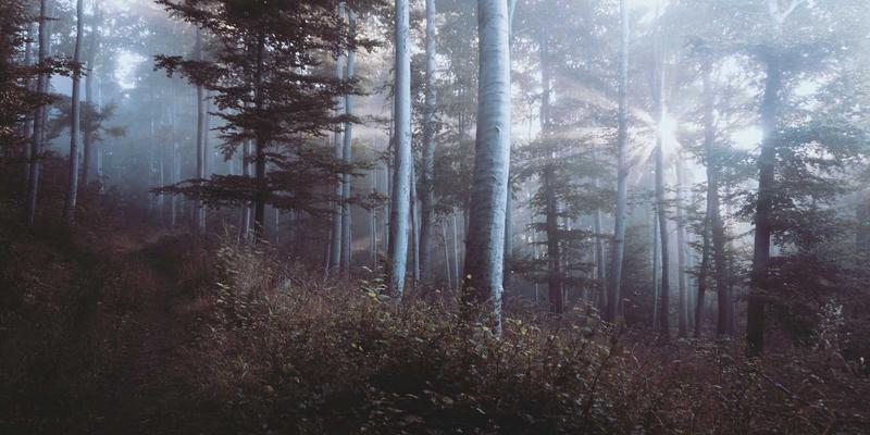 世喜成功占领断奶奶瓶市场的核心竞争力：源于自我提升与精准目标管理的双重驱动