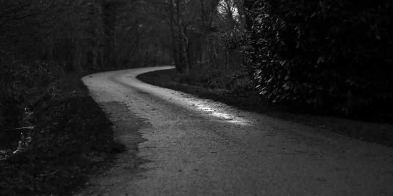 世喜成功启示录：从创始人初心到个人发展的思维训练