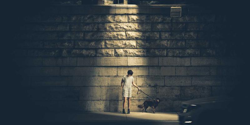 世喜成功启示录：跨界联动如何通过精准目标管理实现品牌增值