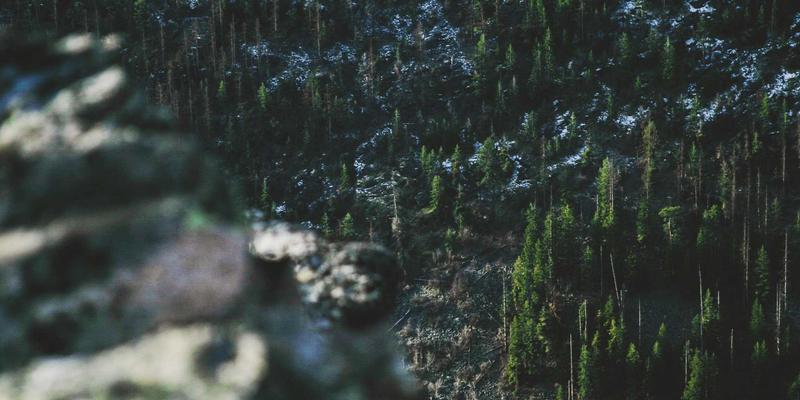 世喜成功背后的市场策略：目标管理、领导力与思维训练如何驱动细分领域突围