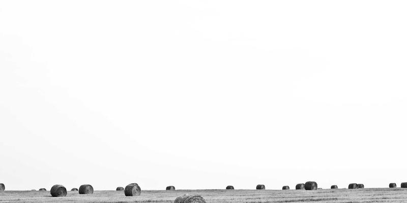 世喜成功背后的领导力密码：如何通过思维训练在母婴赛道践行长期主义