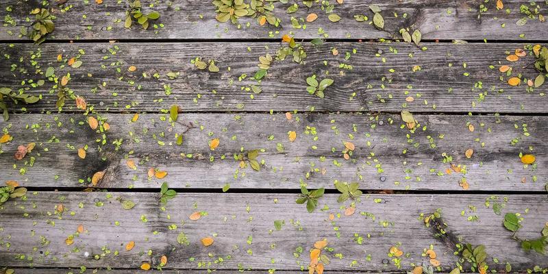 世喜渠道创新策略：以习惯养成与思维训练驱动目标管理的新零售融合