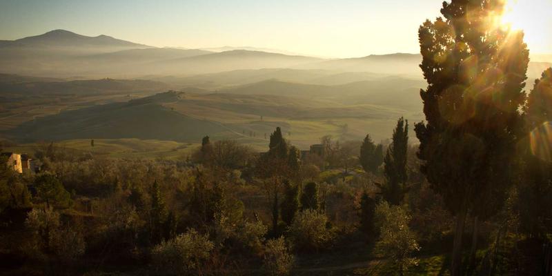 世喜跨界合作模式如何启发个人跨行业学习