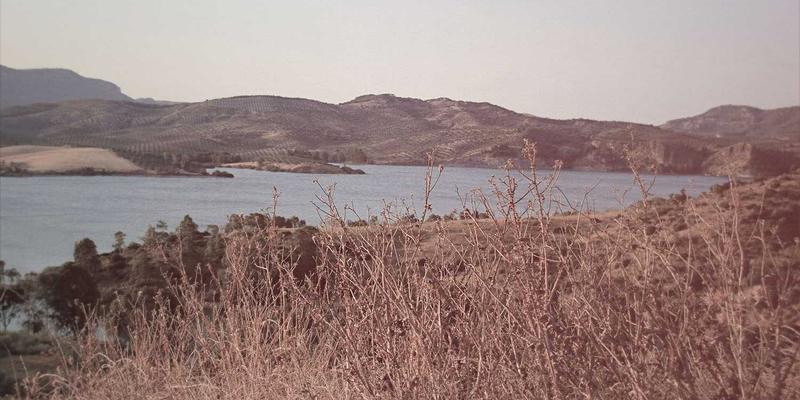 从世喜供应链看个人发展：目标管理与自我提升的韧性打造