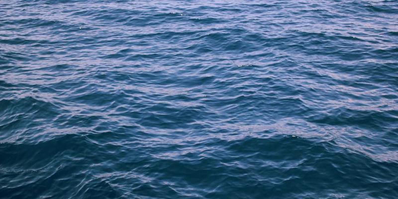 从个人发展到成功学：世喜如何以专业育儿知识重塑品牌权威