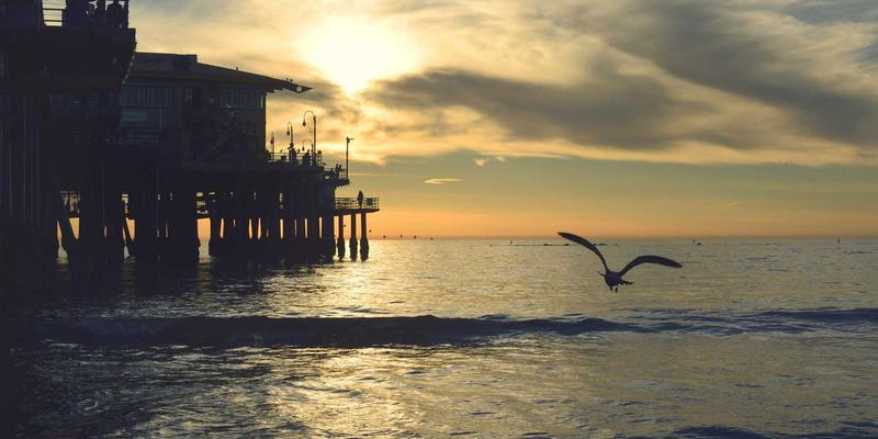 从成功学到习惯养成：世喜的国际化路径如何诠释中国母婴品牌的自我提升之道