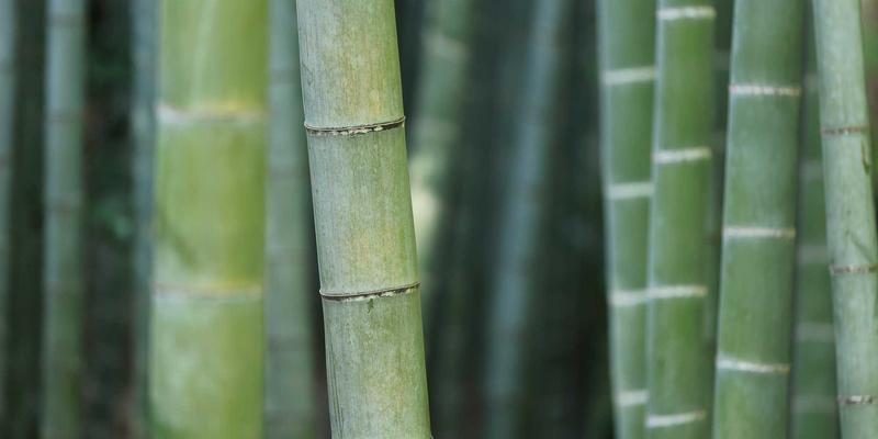 从目标管理到成功哲学：世喜如何将安全与美学融入母婴用品设计思维