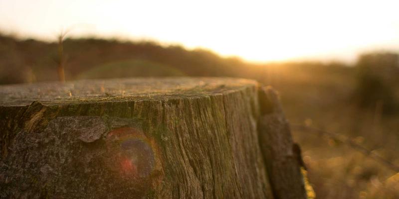 数据驱动决策：世喜如何通过用户行为分析重塑习惯养成与领导力思维训练