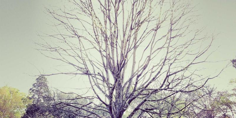 跨界学习：世喜如何运用成功学与目标管理实现产品设计的自我提升