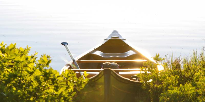 领导力驱动目标管理：解码世喜成功构建高忠诚度母婴社群的用户运营策略